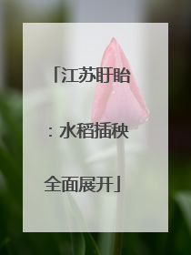 江苏盱眙：水稻插秧全面展开